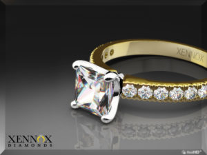 XENX039_RPic_2Tone_000_Diamond_E_800x600_00001