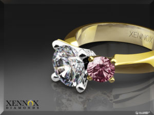 XENX041_RPic_2Tone_000_Diamond_E_800x600_00001