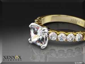 XENX043_RPic_2Tone_000_Diamond_E_800x600_00001