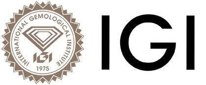 logo_IGI